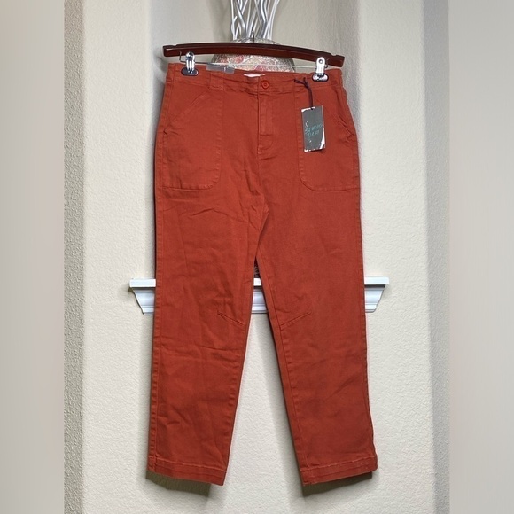 Studio Blue Pants - Studio Blue Women’s Burnt Orange High-rise Pants Size 30